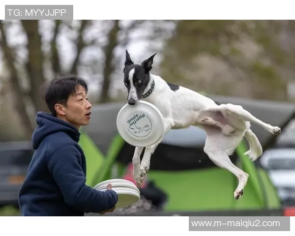 运动数据南京飞盘队与成都飞盘队赛后状态分析与复盘总结